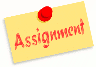assignment (1)